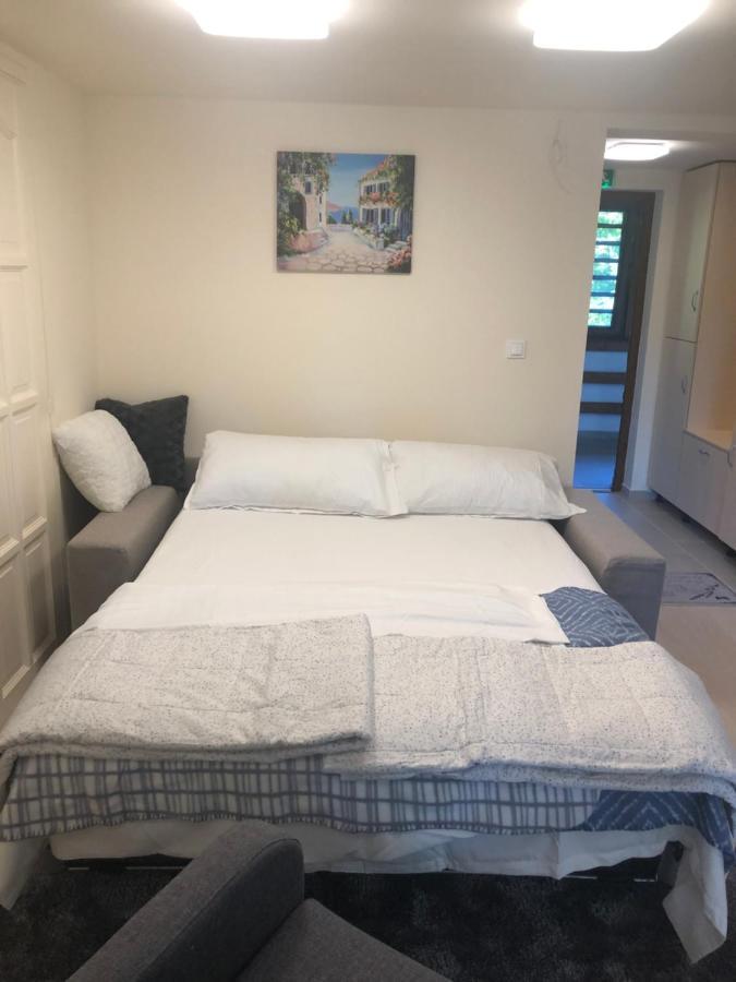 Beachfront Studio Apartman Aparthotel Balatonfůzfő Eksteriør bilde